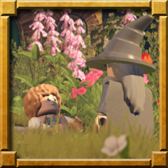 Someone to share in an adventure