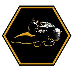 Life in the Fast Lane