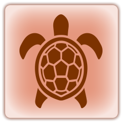 Sea Turtle