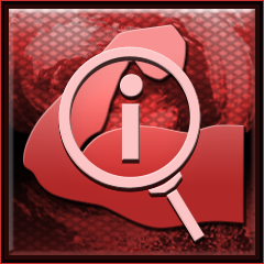 How Do I Fight Like a Pro?