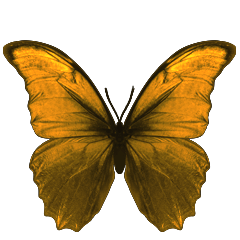 You Opened Their Eyes