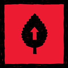 Picked to Perfection