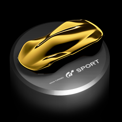 Record Number of Races