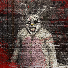 Follow the White Rabbit