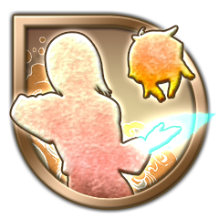 Finish with Support Ninjutsu!