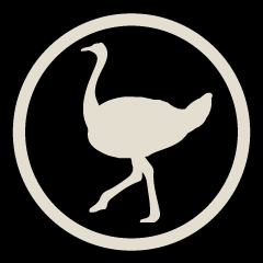 The Sky is the Limit