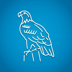 Stars and Stripes Victory