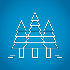 Success in the Woods