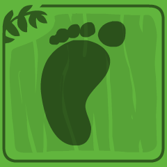 A journey of a thousand miles begins with a single step