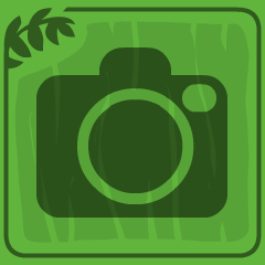 A picture is worth a thousand words