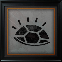 Now you donât see me