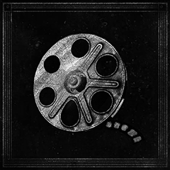 Lights, Camera, Action!